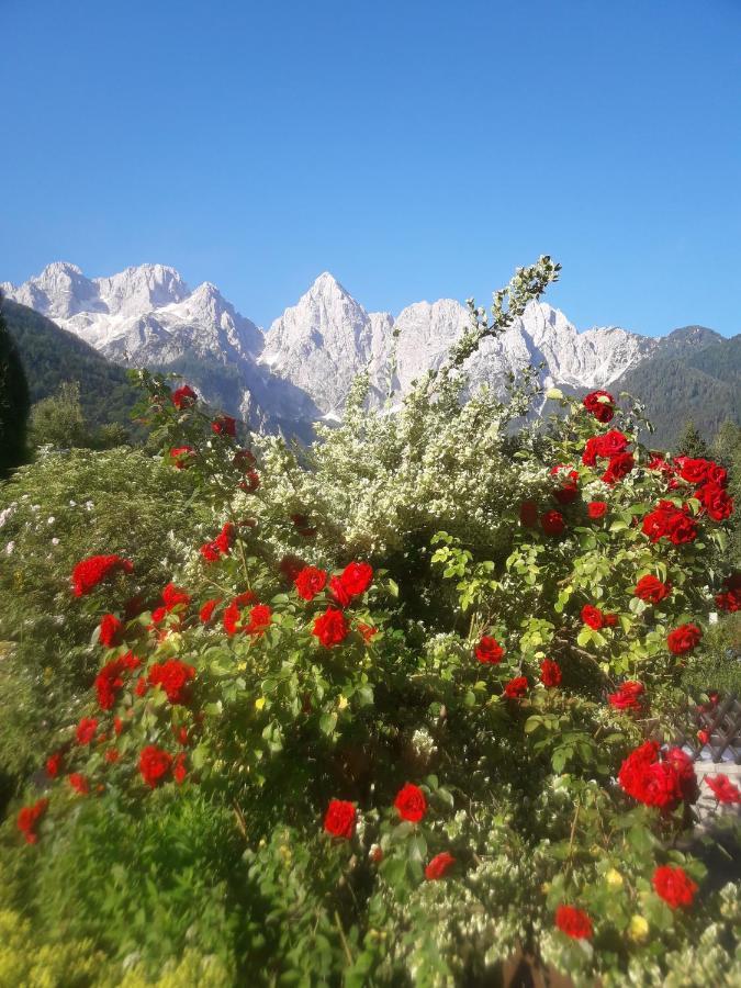 Dalija Appartamento Kranjska Gora Esterno foto